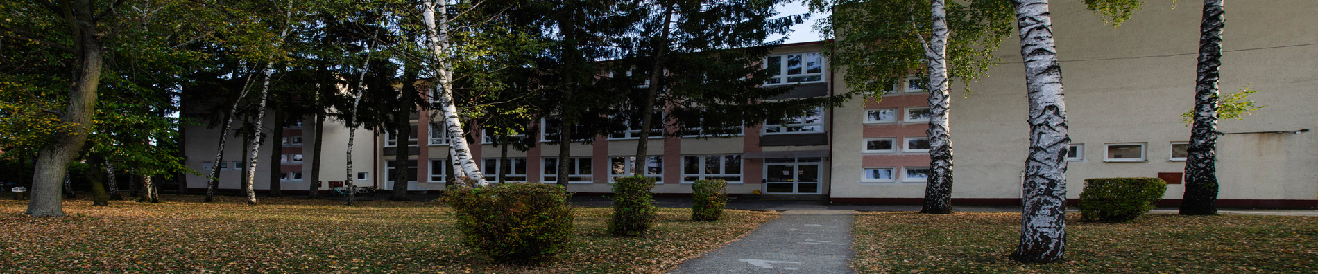 skola